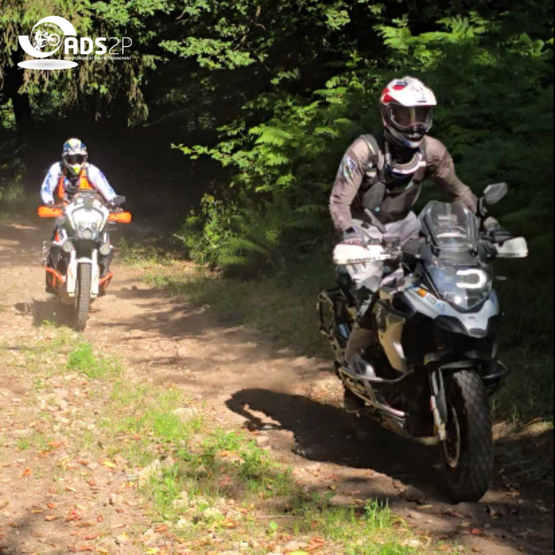 Les Tréfles Corréziens 7.png